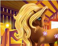 Fairy pony caring adventure lovas HTML5 jtk