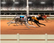 Greyhound racing lovas ingyen jtk