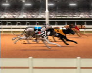 Greyhound racing