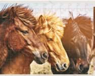 Jigsaw puzzle horses edition