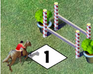 Show jumping